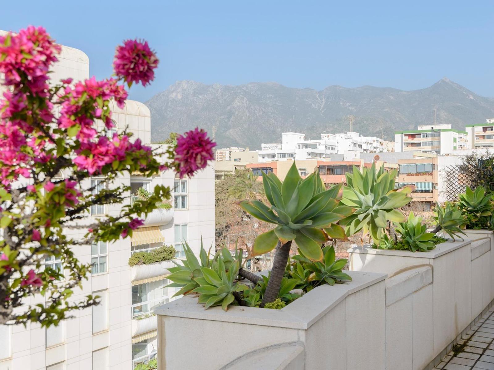 Apartment Pass The Keys Stunning Beachfront In *